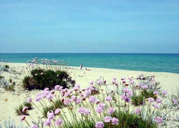 Sandalia 3* ヌーオロ